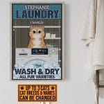 2VT. Cat Laundry Wash And Dry canvas mk1
