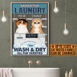 2VT. Cat Laundry Wash And Dry canvas mk2