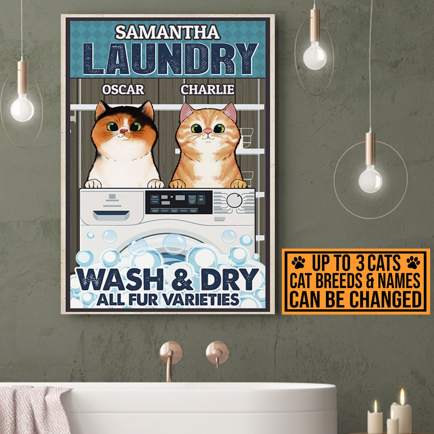 2VT. Cat Laundry Wash And Dry canvas mk2