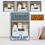 2VT. Cat Laundry Wash And Dry canvas mk3
