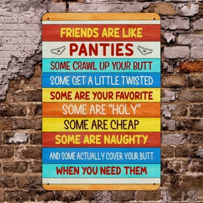 Friends Are Like Panties Some Crawl up Your Butt Funny Decorative Metal Sign