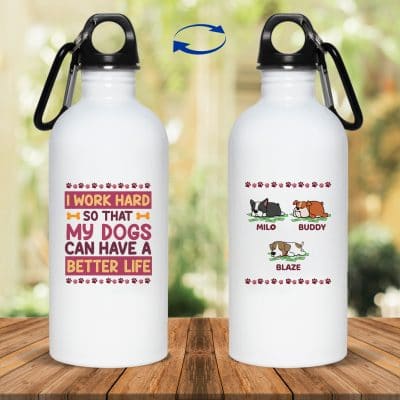20 oz. Stainless Water Bottle