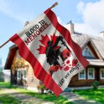 2O. Blood To Memories -30x40 House Flag Mockup 5
