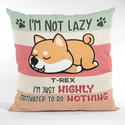 Pillow Cover & Insert