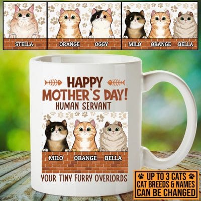 Personalized Cat Breeds Happy Mother's Day Human Servant Your Tiny Furry Overlords Ceramic Coffee Mug