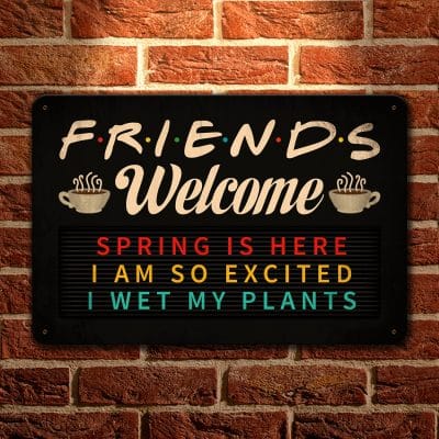 Welcome Spring Is Here I Am so Excited I Wet My Plants Decorative Metal Sign - Friends Metal Sign