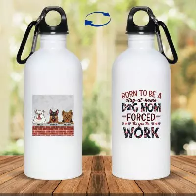 20 oz. Stainless Water Bottle