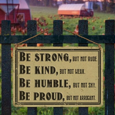 Alternative view of Be Strong but Not Rude Be Kind but Not Weak Be Humble but Not Shy Be Proud but Not Arrogant Metal Sign Wall Art Decor  - Motivational Quotes Sign