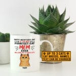 4VT. Happy Meowther's Day mug m1