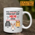 4VT. Happy Meowther's Day mug mk3