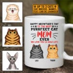 4VT. Happy Meowther's Day mug mk4