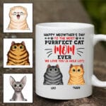 4VT. Happy Meowther's Day mug mk5