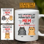 4VT. Happy Meowther's Day mug mk6