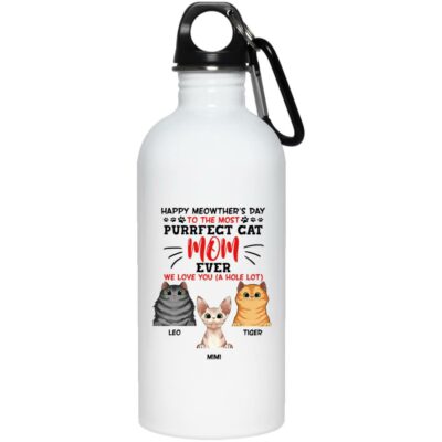 20 oz. Stainless Water Bottle