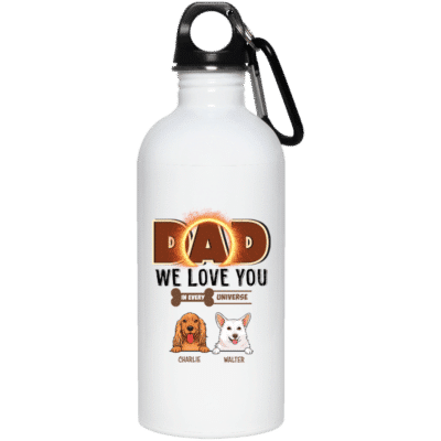 20 oz. Stainless Water Bottle