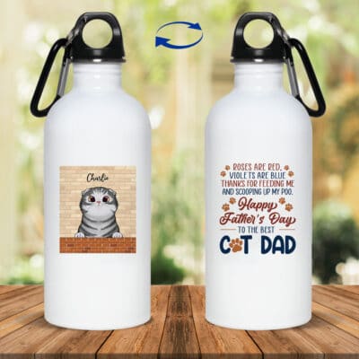 20 oz. Stainless Water Bottle