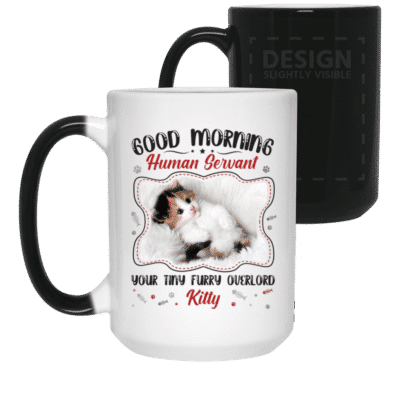 15 oz. Color Changing Mug