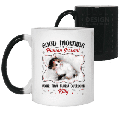 11 oz. Color Changing Mug