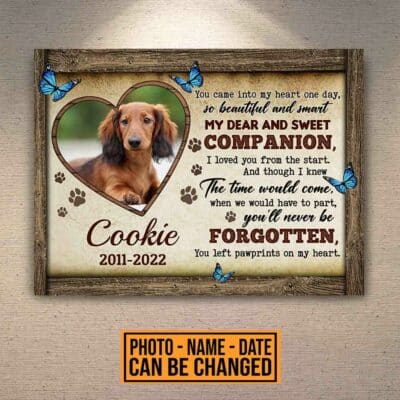 Personalized Photo You Came Into My Heart One Day So Beautiful And Smart Pet Memorial Canvas Prints - Poster