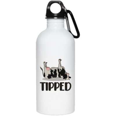 20 oz. Stainless Water Bottle