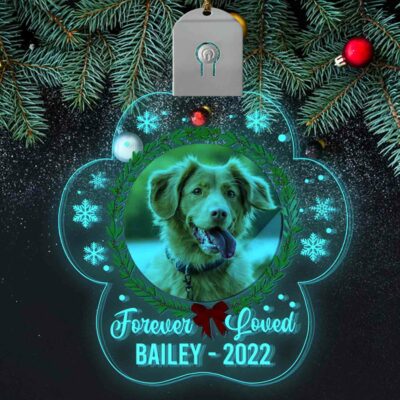 LED Acrylic Ornament