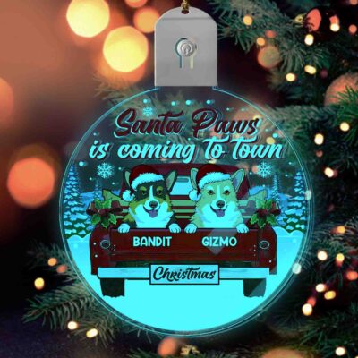 LED Acrylic Ornament