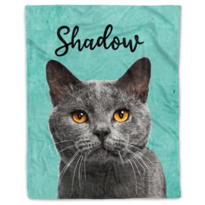 Cozy Plush Fleece Blanket - 30x40