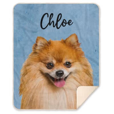 Premium Mink Sherpa Blanket - 50x60