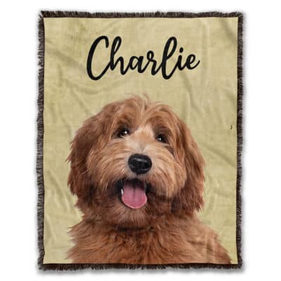 Woven Blanket - 50x60