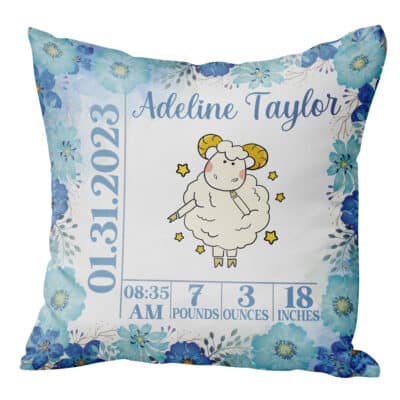 Pillow Cover & Insert