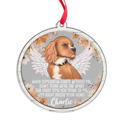 Transparent Acrylic & Wood Ornament