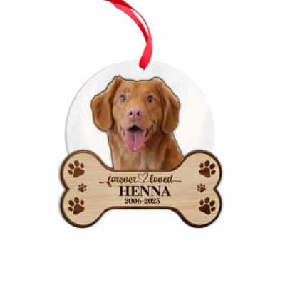 Transparent Acrylic & Wood Ornament