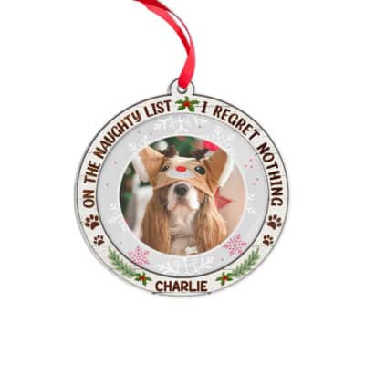 Transparent Acrylic & Wood Ornament