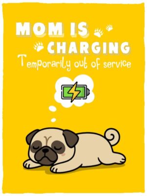 Cozy Plush Fleece Blanket - 30x40