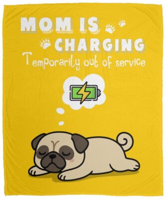 Cozy Plush Fleece Blanket - 50x60