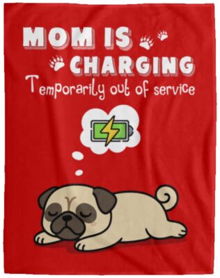 Cozy Plush Fleece Blanket - 60x80