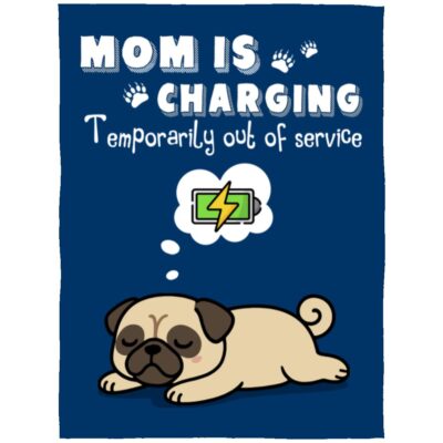 Arctic Fleece Blanket - 60x80