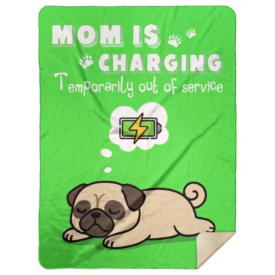 Premium Mink Sherpa Blanket - 60x80