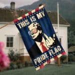 4VT. Trump My Pride Flag flag mk6