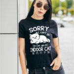 Sorry I Can't Go I'm An Indoor Cat Funny Indoor Kitten Cat Meme T-Shirt