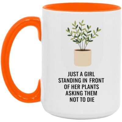 15 oz. Accent Mug