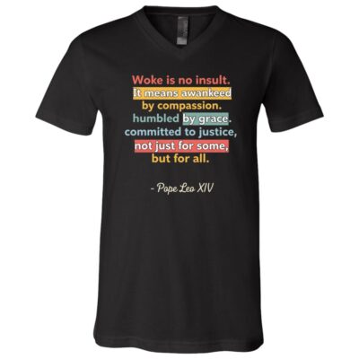 Woke Is No Insult Shirt, Inspirational Equality Quote Tee, Compassion Justice Graphic Shirt, Black, V-Neck T-Shirt
